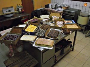 DSCF0079